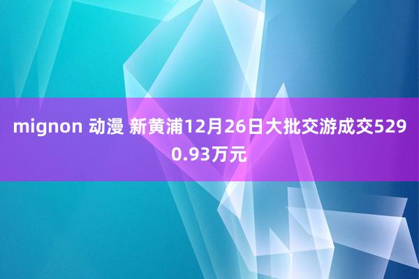 mignon 动漫 新黄浦12月26日大批交游成交5290.93万元