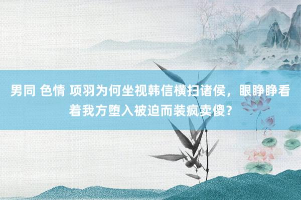 男同 色情 项羽为何坐视韩信横扫诸侯，眼睁睁看着我方堕入被迫而装疯卖傻？