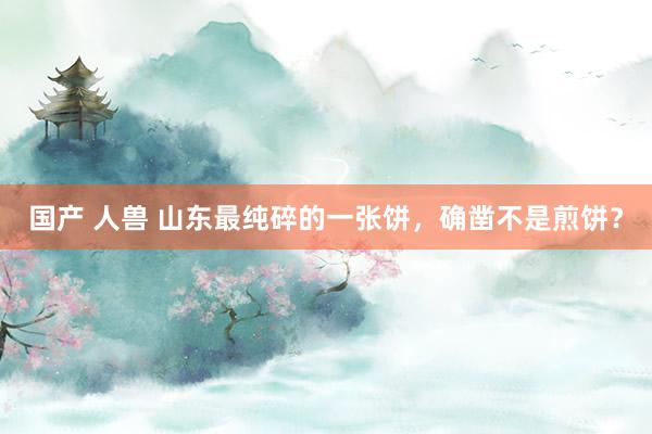 国产 人兽 山东最纯碎的一张饼，确凿不是煎饼？