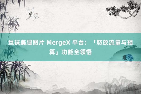 丝袜美腿图片 MergeX 平台：「怒放流量与预算」功能全领悟