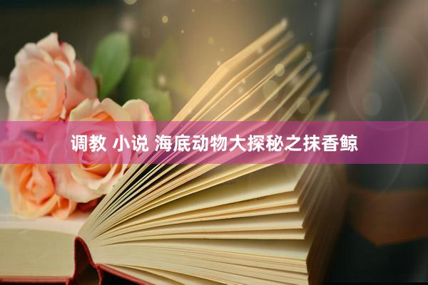 调教 小说 海底动物大探秘之抹香鲸