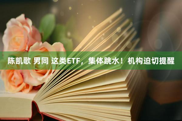 陈凯歌 男同 这类ETF，集体跳水！机构迫切提醒