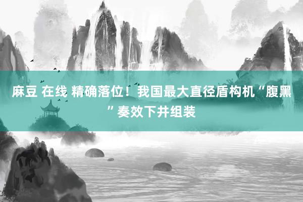 麻豆 在线 精确落位！我国最大直径盾构机“腹黑”奏效下井组装