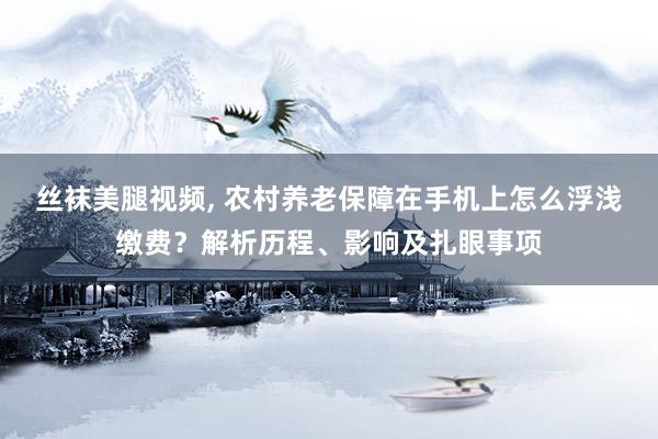 丝袜美腿视频, 农村养老保障在手机上怎么浮浅缴费？解析历程、影响及扎眼事项