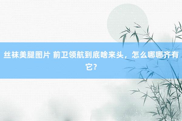 丝袜美腿图片 前卫领航到底啥来头，怎么哪哪齐有它？