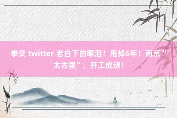 拳交 twitter 老白下的眼泪！甩掉6年！南京“太古里”，开工成谜！