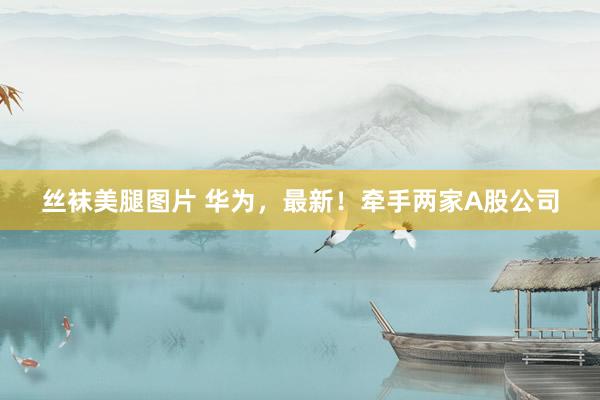 丝袜美腿图片 华为，最新！牵手两家A股公司