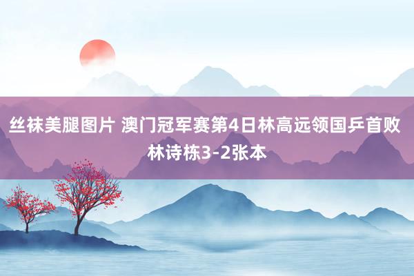丝袜美腿图片 澳门冠军赛第4日林高远领国乒首败 林诗栋3-2张本
