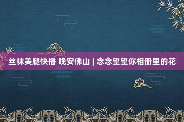 丝袜美腿快播 晚安佛山 | 念念望望你相册里的花