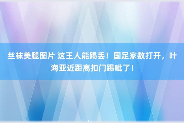 丝袜美腿图片 这王人能踢丢！国足家数打开，叶海亚近距离扣门踢呲了！