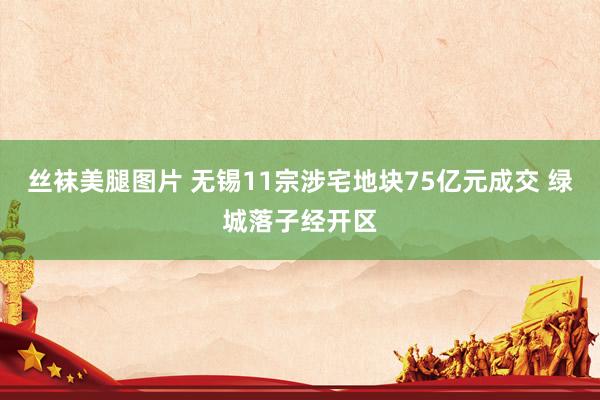 丝袜美腿图片 无锡11宗涉宅地块75亿元成交 绿城落子经开区