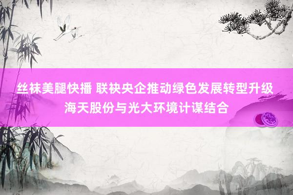丝袜美腿快播 联袂央企推动绿色发展转型升级 海天股份与光大环境计谋结合