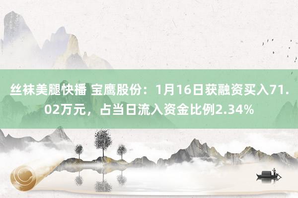丝袜美腿快播 宝鹰股份：1月16日获融资买入71.02万元，占当日流入资金比例2.34%