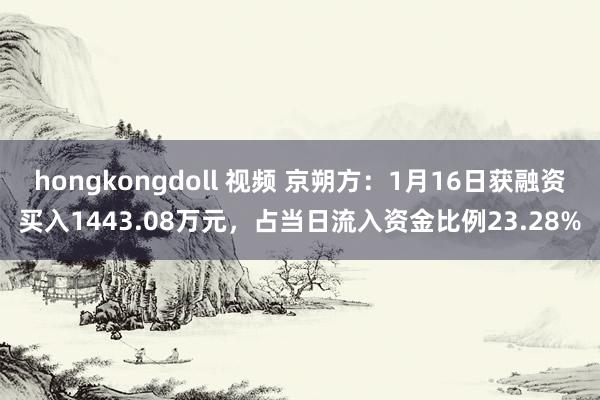 hongkongdoll 视频 京朔方：1月16日获融资买入1443.08万元，占当日流入资金比例23.28%