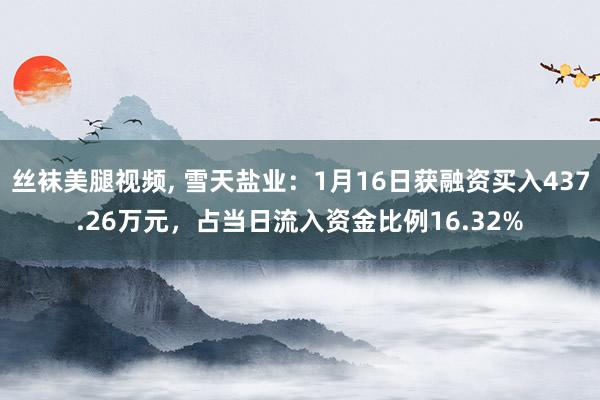 丝袜美腿视频, 雪天盐业：1月16日获融资买入437.26万元，占当日流入资金比例16.32%