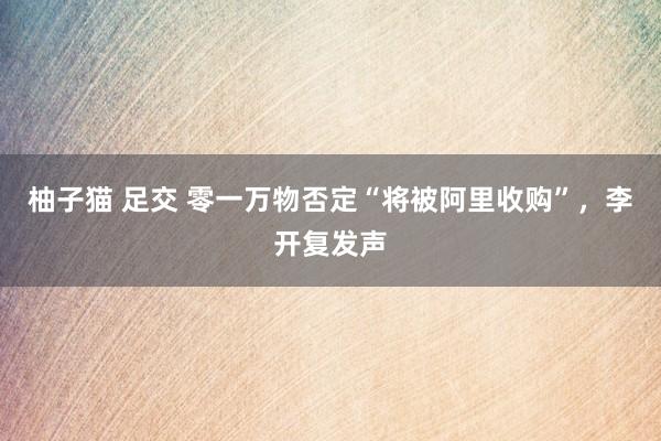柚子猫 足交 零一万物否定“将被阿里收购”，李开复发声