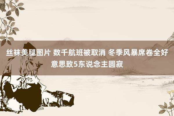 丝袜美腿图片 数千航班被取消 冬季风暴席卷全好意思致5东说念主圆寂