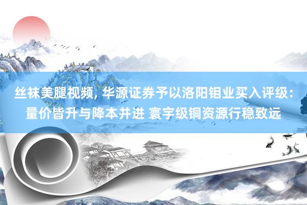 丝袜美腿视频， 华源证券予以洛阳钼业买入评级：量价皆升与降本并进 寰宇级铜资源行稳致远