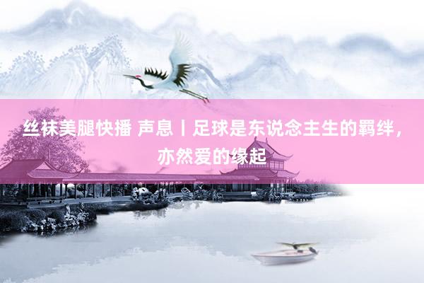 丝袜美腿快播 声息丨足球是东说念主生的羁绊，亦然爱的缘起