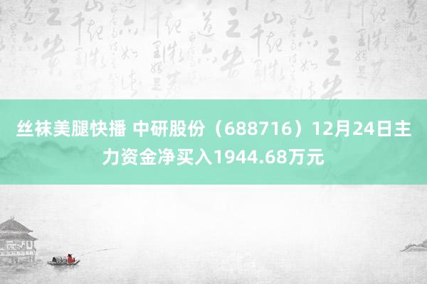 丝袜美腿快播 中研股份（688716）12月24日主力资金净买入1944.68万元