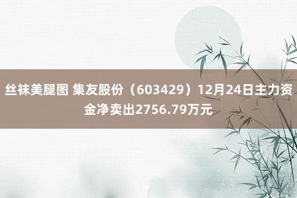 丝袜美腿图 集友股份（603429）12月24日主力资金净卖出2756.79万元