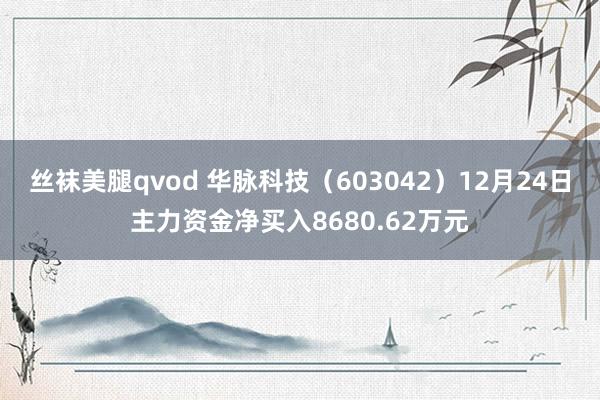 丝袜美腿qvod 华脉科技（603042）12月24日主力资金净买入8680.62万元