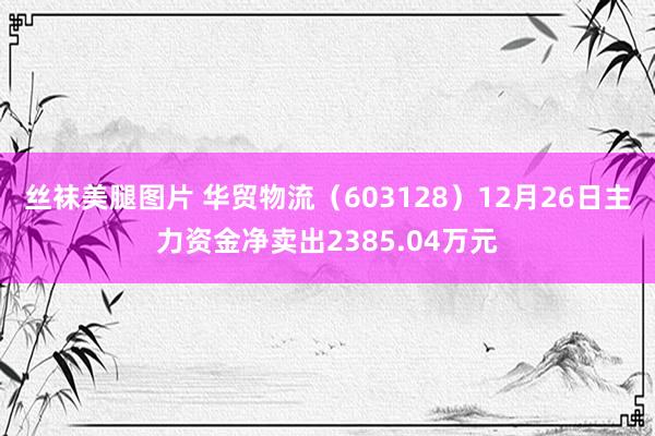 丝袜美腿图片 华贸物流（603128）12月26日主力资金净卖出2385.04万元