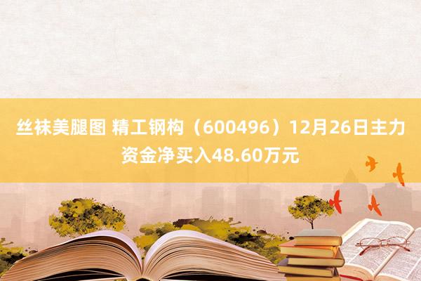 丝袜美腿图 精工钢构（600496）12月26日主力资金净买入48.60万元