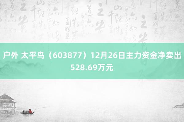 户外 太平鸟（603877）12月26日主力资金净卖出528.69万元