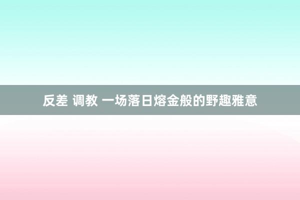 反差 调教 一场落日熔金般的野趣雅意
