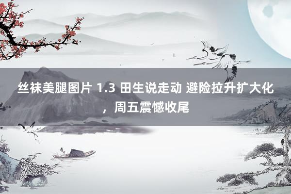 丝袜美腿图片 1.3 田生说走动 避险拉升扩大化，周五震憾收尾
