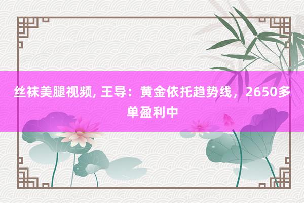 丝袜美腿视频, 王导：黄金依托趋势线，2650多单盈利中