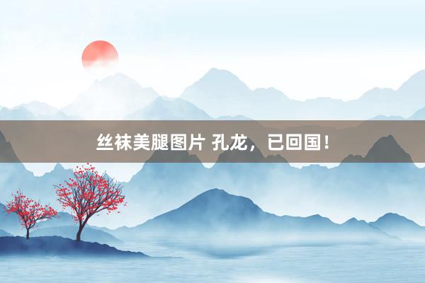 丝袜美腿图片 孔龙，已回国！