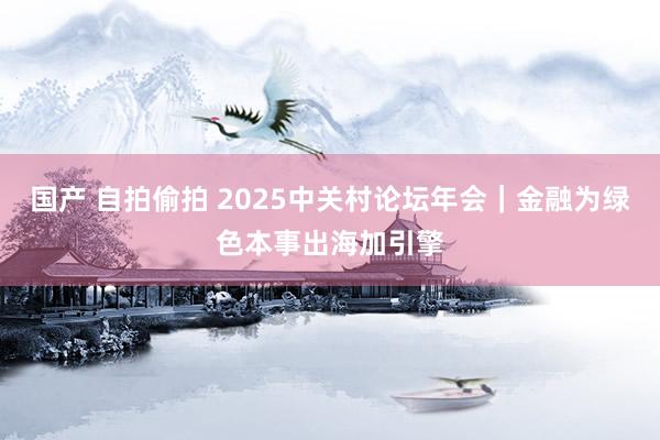 国产 自拍偷拍 2025中关村论坛年会｜金融为绿色本事出海加引擎