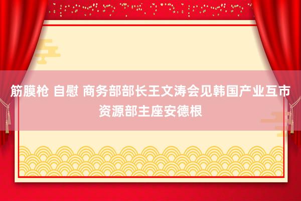 筋膜枪 自慰 商务部部长王文涛会见韩国产业互市资源部主座安德根