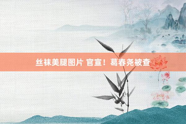 丝袜美腿图片 官宣！葛春尧被查