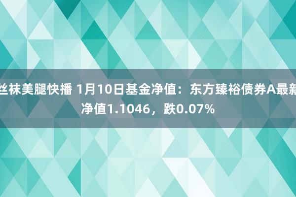 丝袜美腿快播 1月10日基金净值：东方臻裕债券A最新净值1.1046，跌0.07%