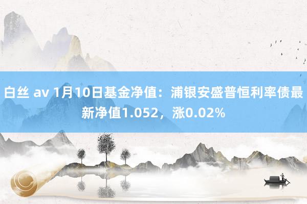 白丝 av 1月10日基金净值：浦银安盛普恒利率债最新净值1.052，涨0.02%