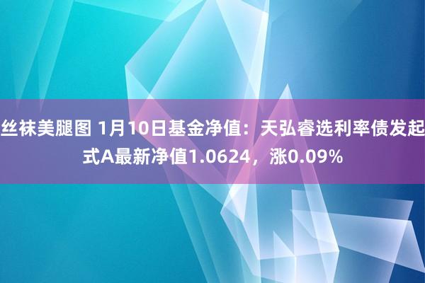 丝袜美腿图 1月10日基金净值：天弘睿选利率债发起式A最新净值1.0624，涨0.09%
