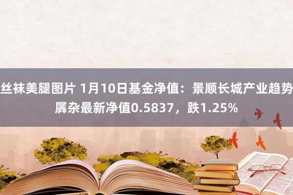 丝袜美腿图片 1月10日基金净值：景顺长城产业趋势羼杂最新净值0.5837，跌1.25%