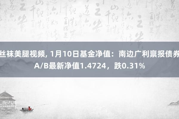 丝袜美腿视频, 1月10日基金净值：南边广利禀报债券A/B最新净值1.4724，跌0.31%