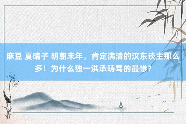 麻豆 夏晴子 明朝末年，肯定满清的汉东谈主那么多！为什么独一洪承畴骂的最惨？