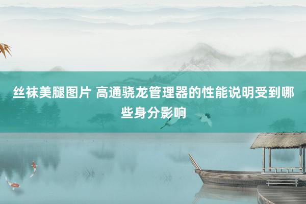 丝袜美腿图片 高通骁龙管理器的性能说明受到哪些身分影响