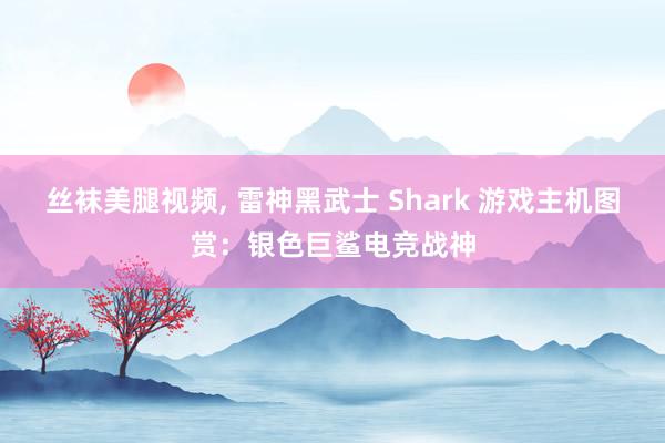 丝袜美腿视频, 雷神黑武士 Shark 游戏主机图赏：银色巨鲨电竞战神