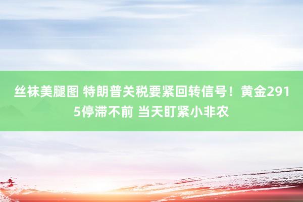 丝袜美腿图 特朗普关税要紧回转信号！黄金2915停滞不前 当天盯紧小非农