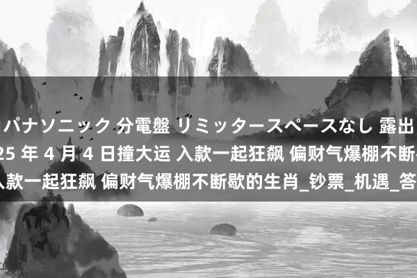 パナソニック 分電盤 リミッタースペースなし 露出・半埋込両用形 2025 年 4 月 4 日撞大运 入款一起狂飙 偏财气爆棚不断歇的生肖_钞票_机遇_答理