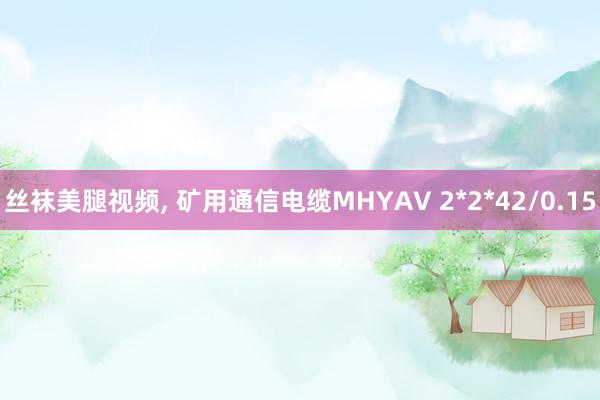丝袜美腿视频， 矿用通信电缆MHYAV 2*2*42/0.15