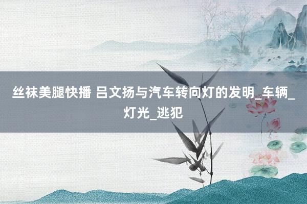 丝袜美腿快播 吕文扬与汽车转向灯的发明_车辆_灯光_逃犯