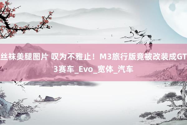 丝袜美腿图片 叹为不雅止！M3旅行版竟被改装成GT3赛车_Evo_宽体_汽车