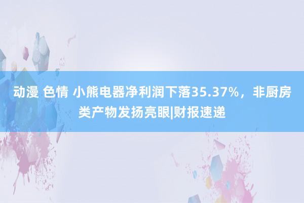 动漫 色情 小熊电器净利润下落35.37%，非厨房类产物发扬亮眼|财报速递